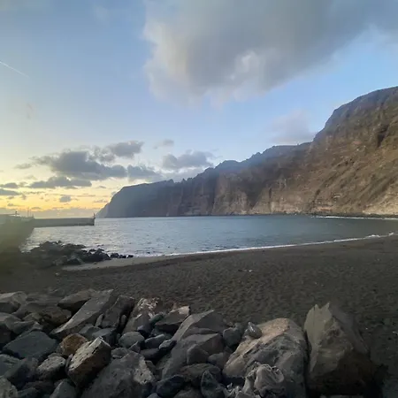 Hibisco Lazy Days Gigantes