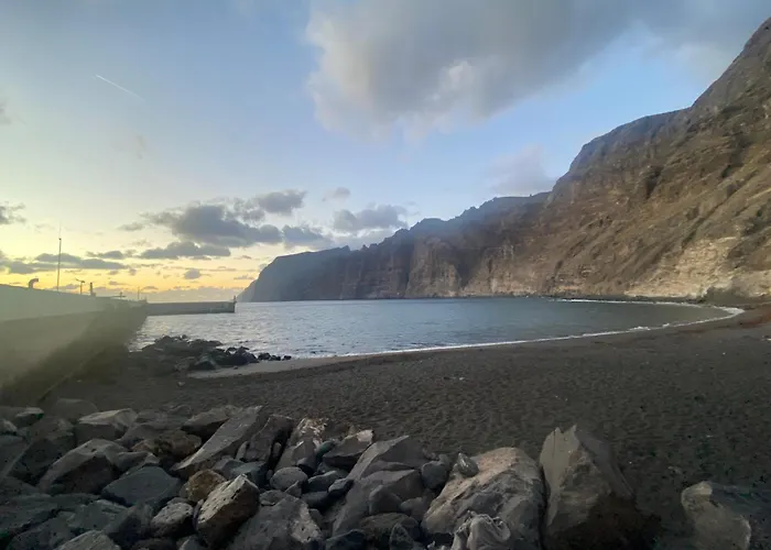 Hibisco Lazy Days Gigantes